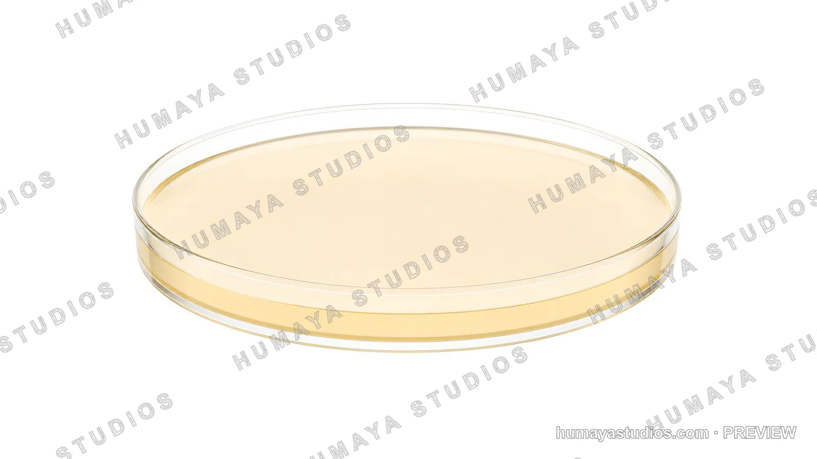Glass Petri Dish with Nutrient Agar Gel for Microbiology