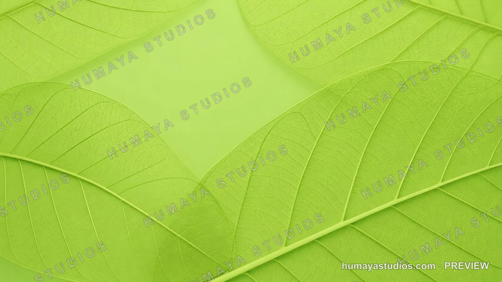 Green leaves frame background texture wallpaper