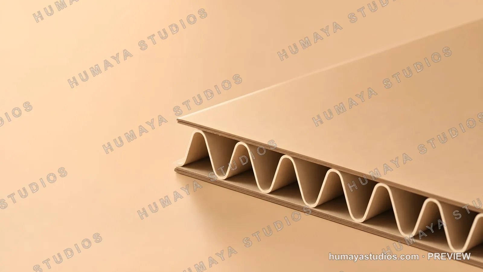 Corrugated Cardboard Sheet Cross Section Macro