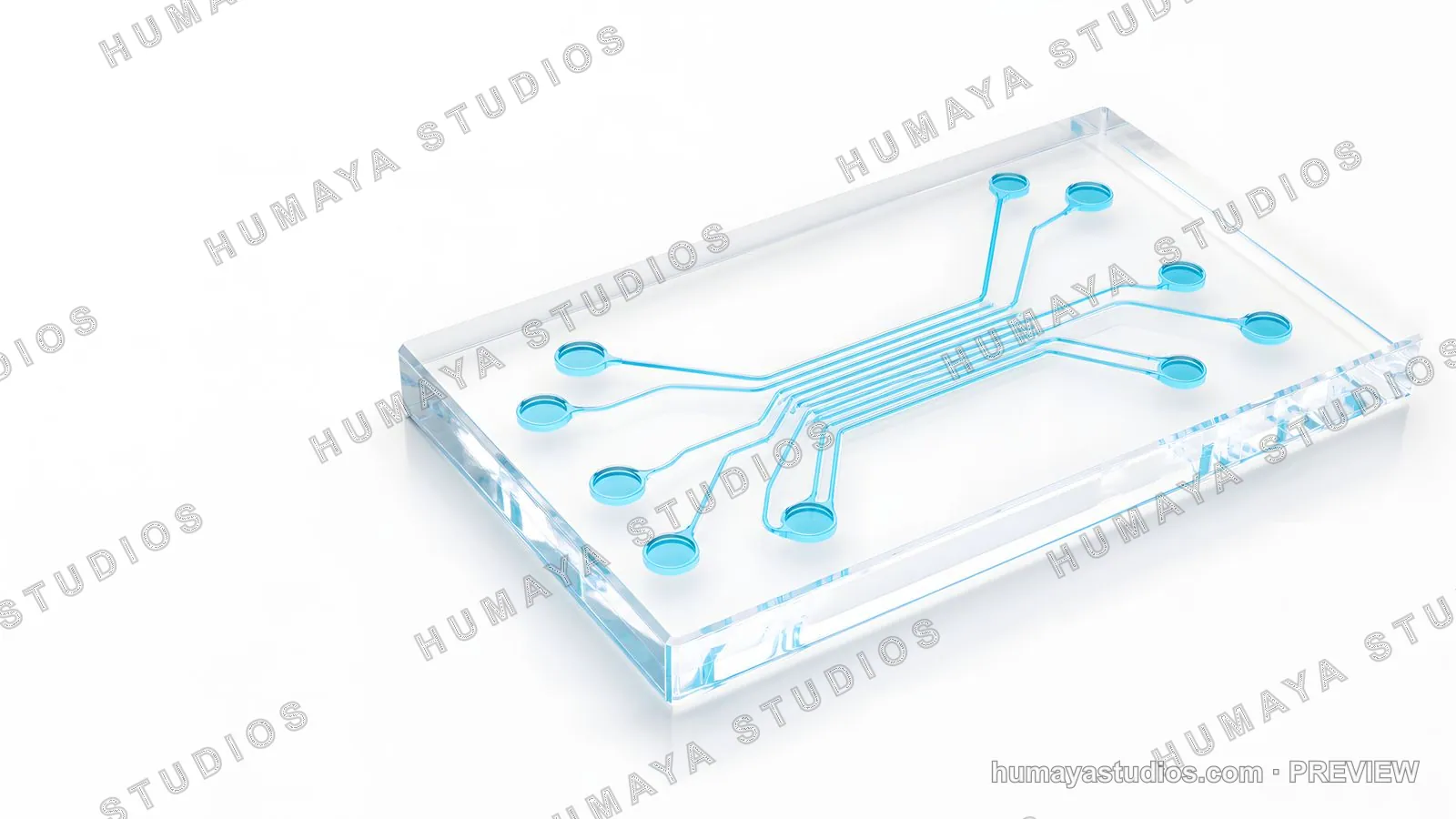 Microfluidic Chip with Blue Channels and Wells on Transparent Substrate