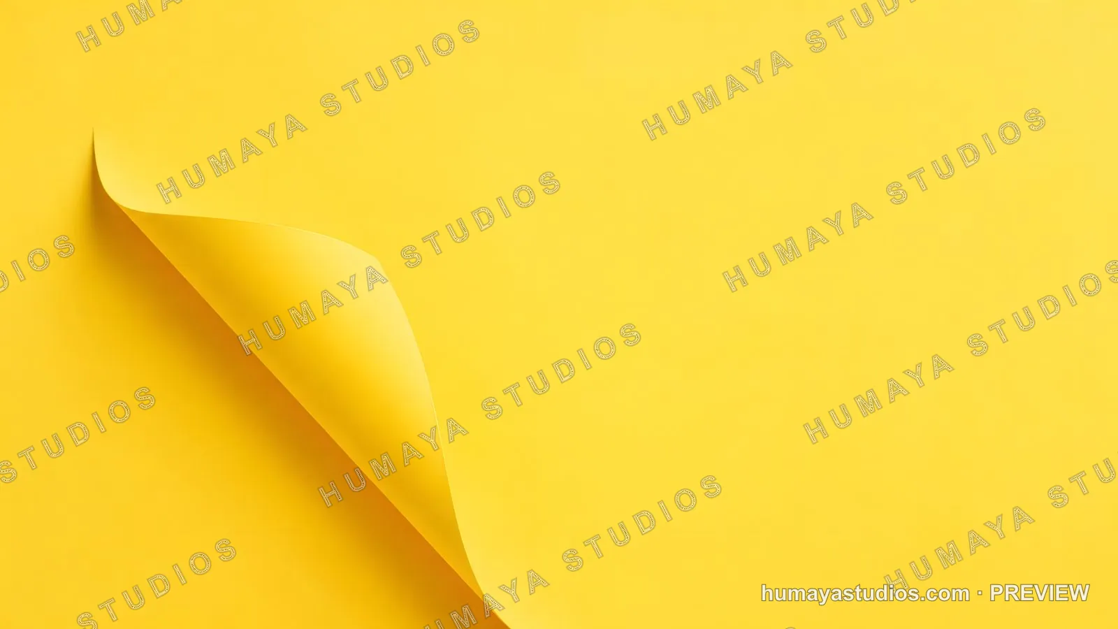 Curled Yellow Paper Corner on Bright Monochrome Background