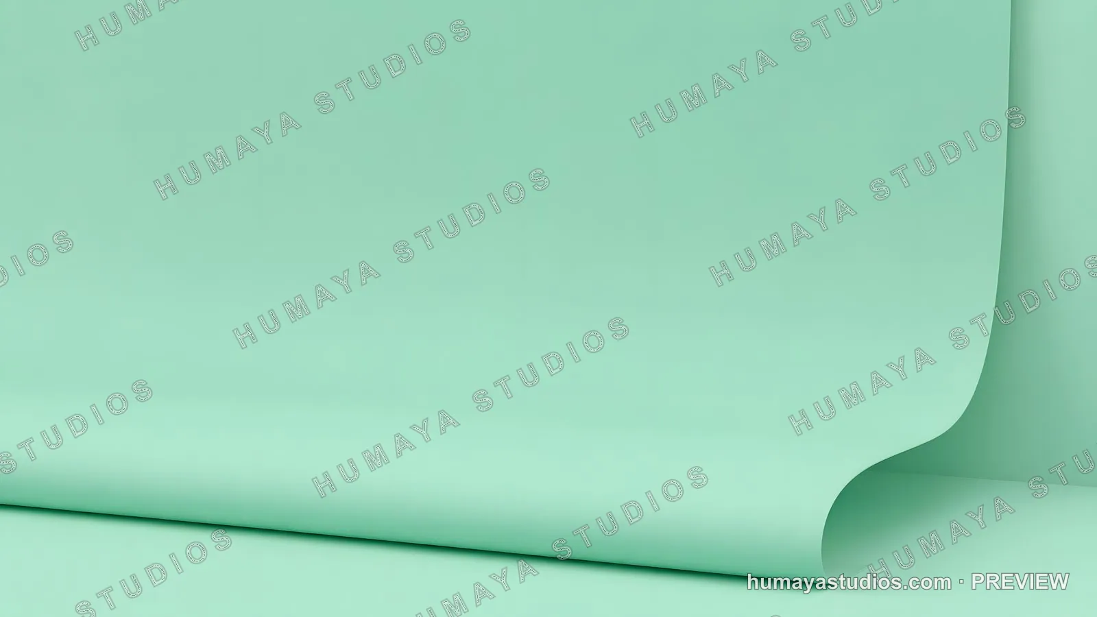 Mint green paper backdrop with curved sweep studio display