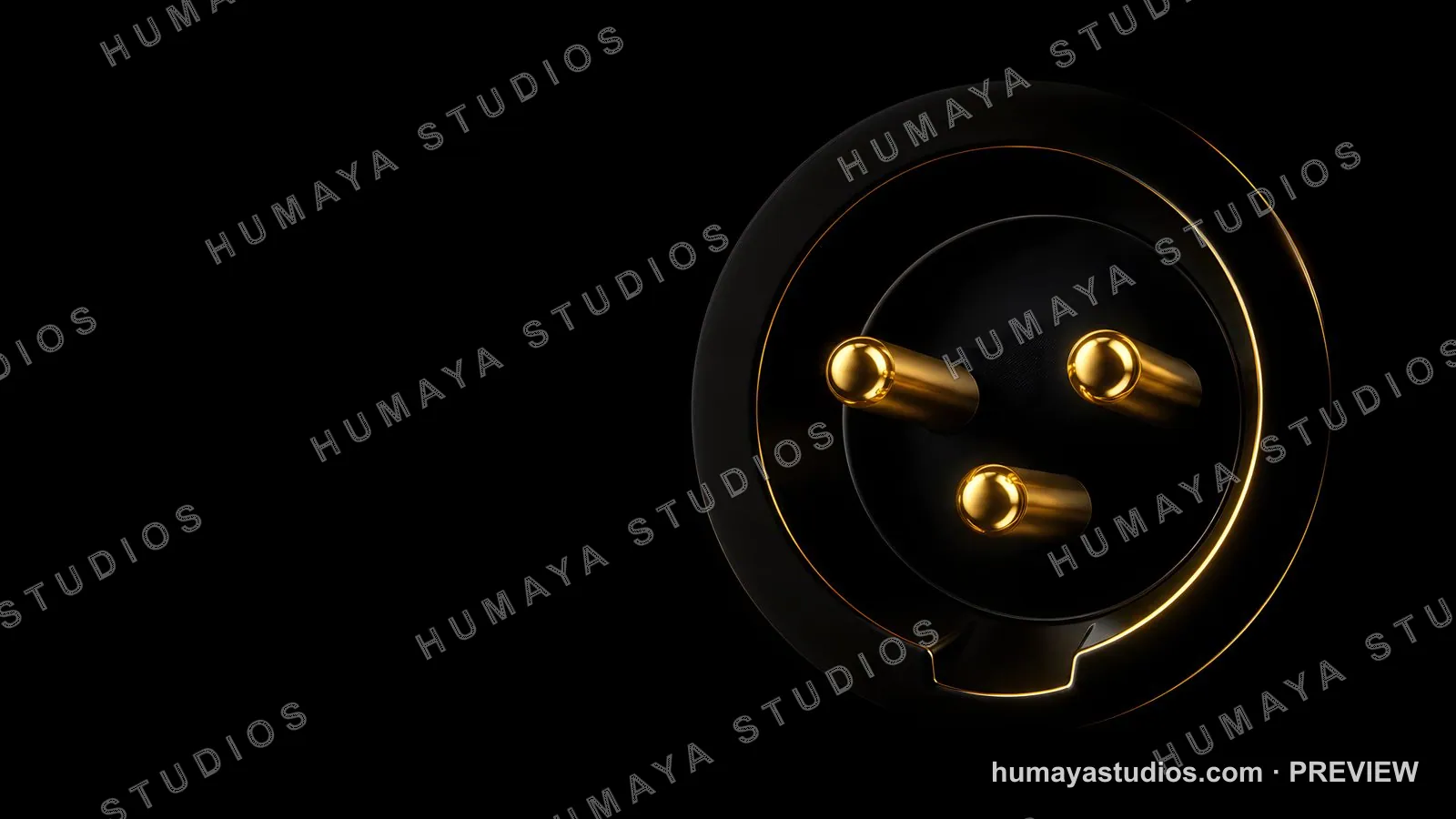 Luxury Electric Vehicle Charging Plug with Gold Accents