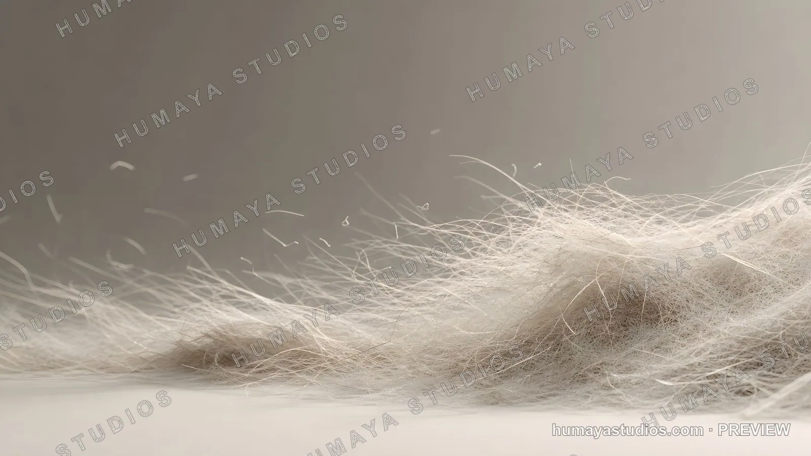 Fine White Hair or Fur Texture Floating in Air