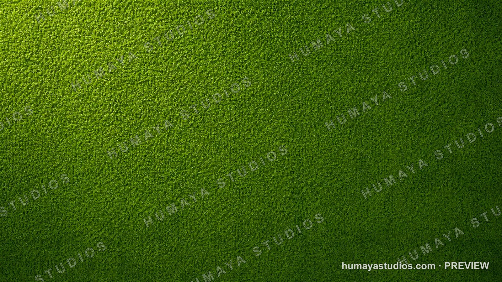Vibrant Green Textured Wall with Dramatic Lighting