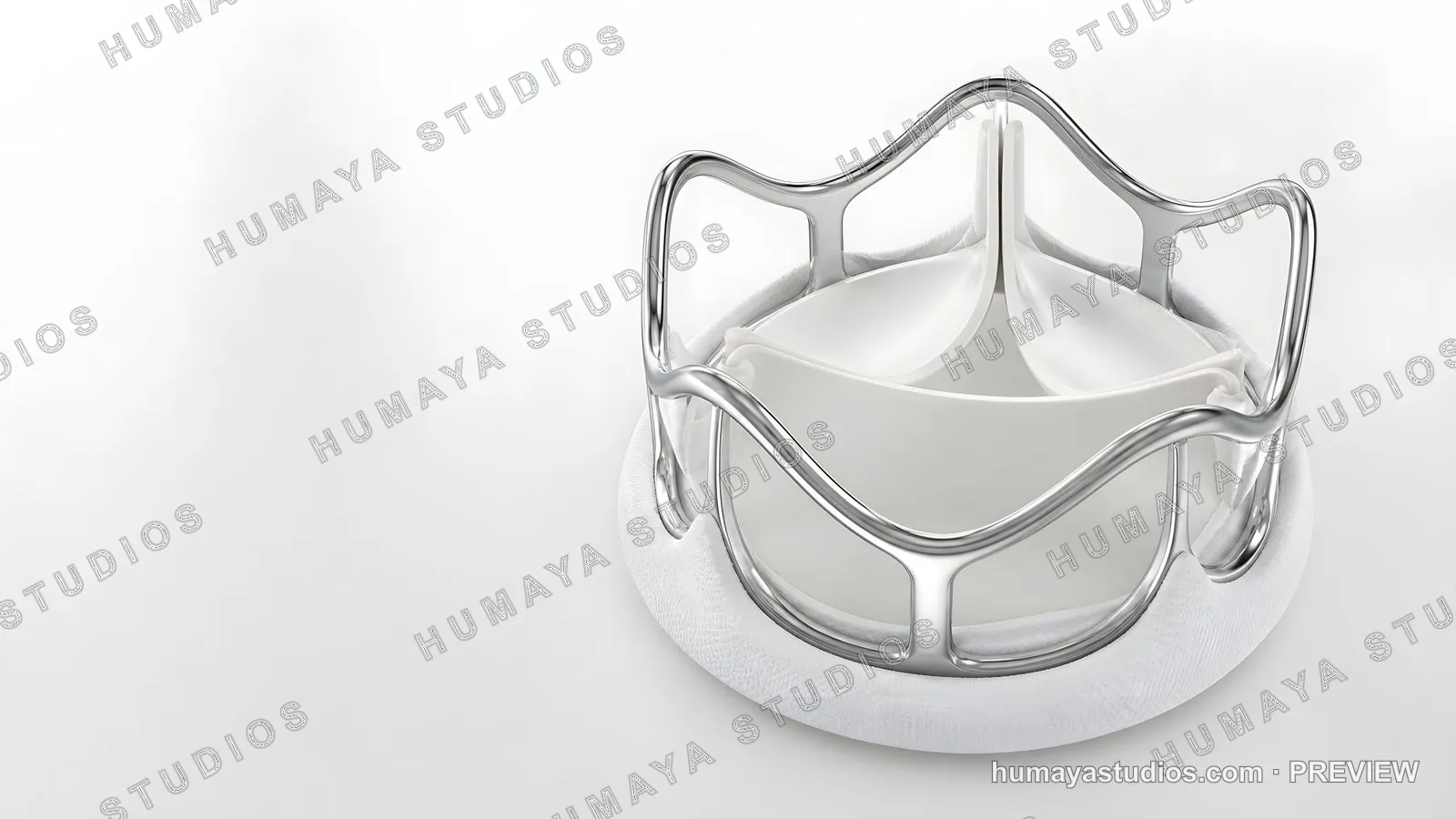 Prosthetic Heart Valve Medical Device