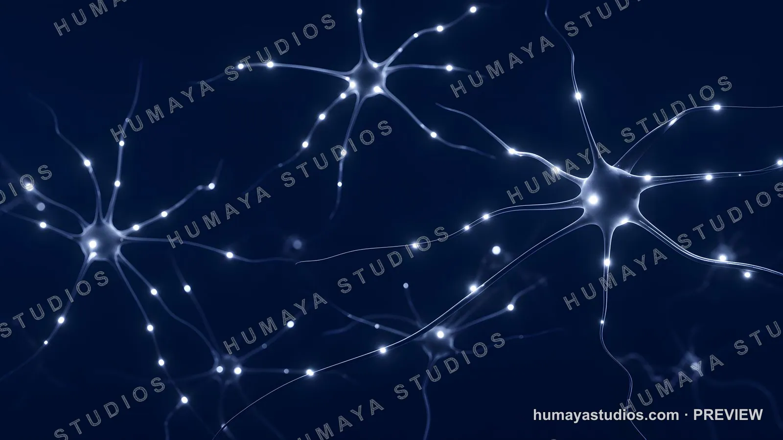 Glowing Neurons Network Brain Synapse Neural Activity