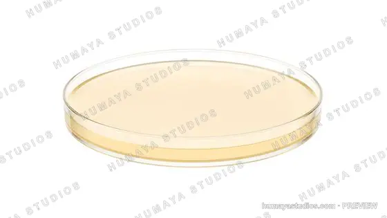 Glass Petri Dish with Nutrient Agar Gel for Microbiology