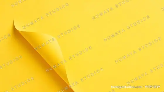 Curled Yellow Paper Corner on Bright Monochrome Background