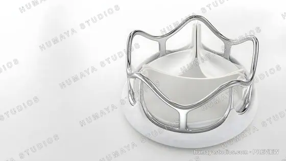 Prosthetic Heart Valve Medical Device